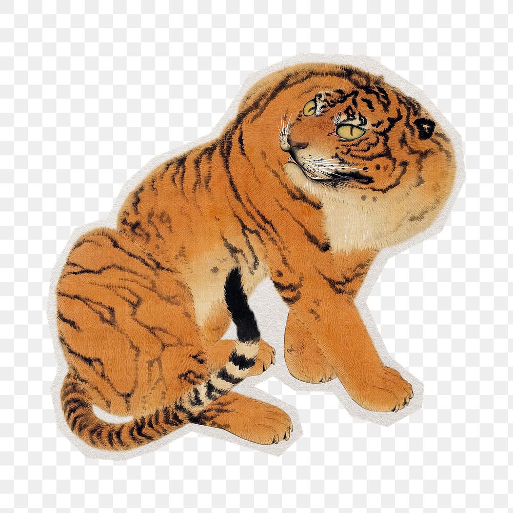 PNG sitting tiger sticker with white border, transparent background 