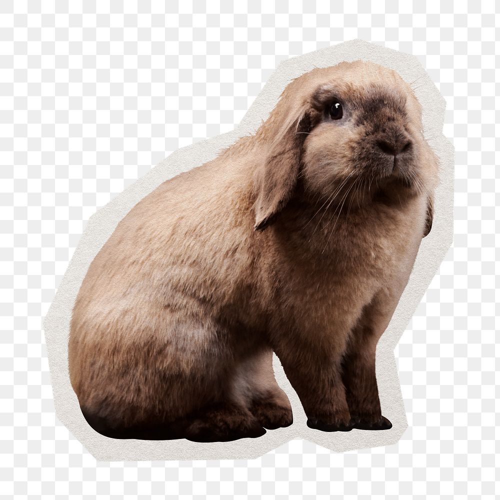 PNG brown rabbit sticker with white border, transparent background