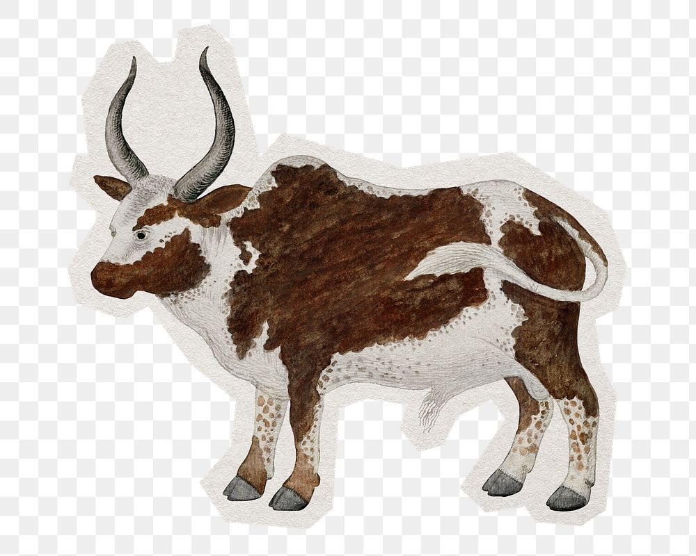 PNG Namagua ox sticker with white border,  transparent background 