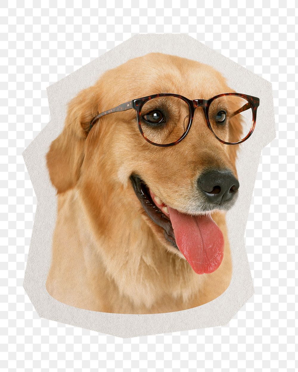 PNG Golden retriever  dog sticker with white border, transparent background