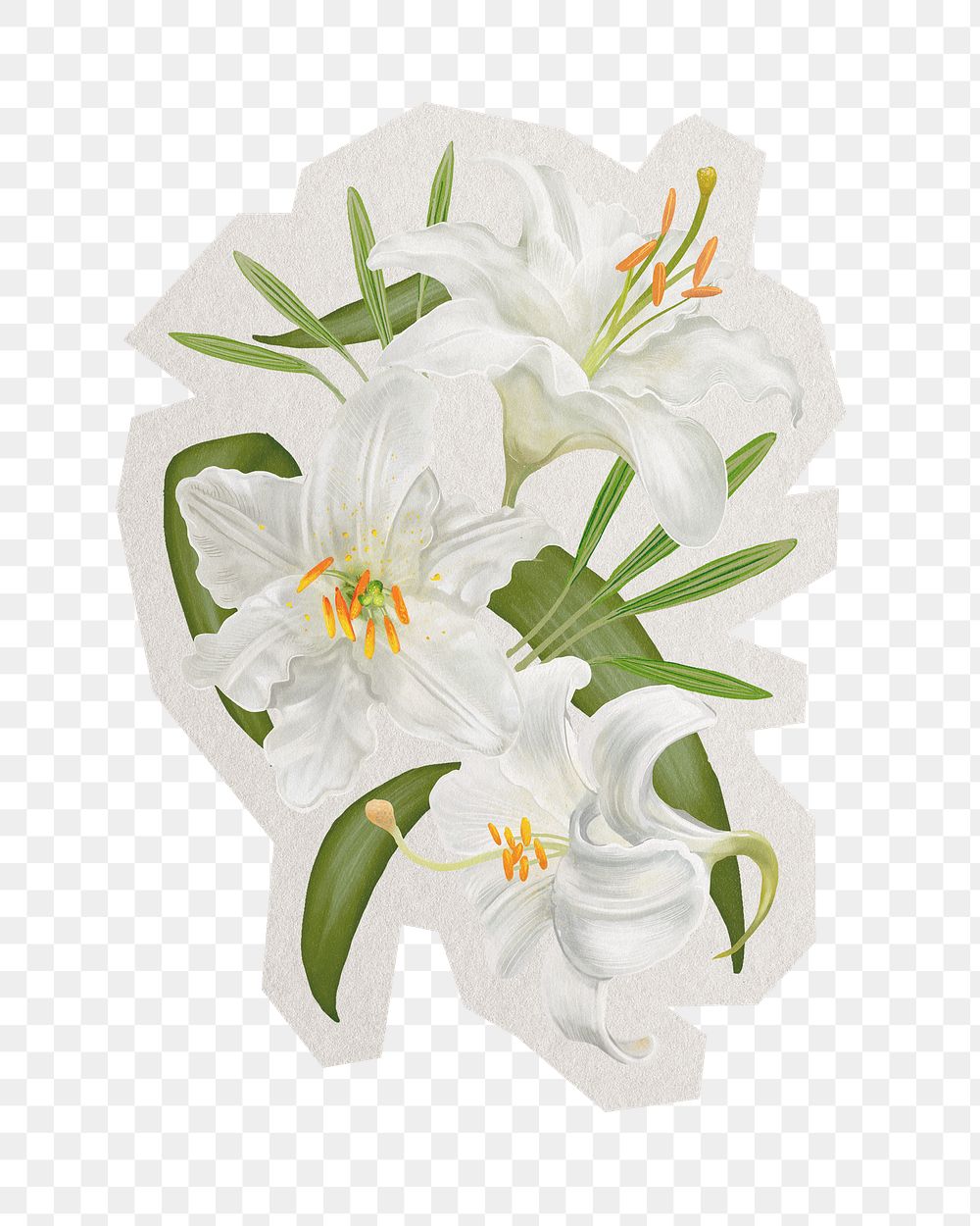 Lily flowers png sticker, paper cut on transparent background