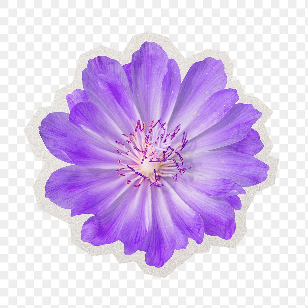 Purple flower png sticker, paper cut on transparent background