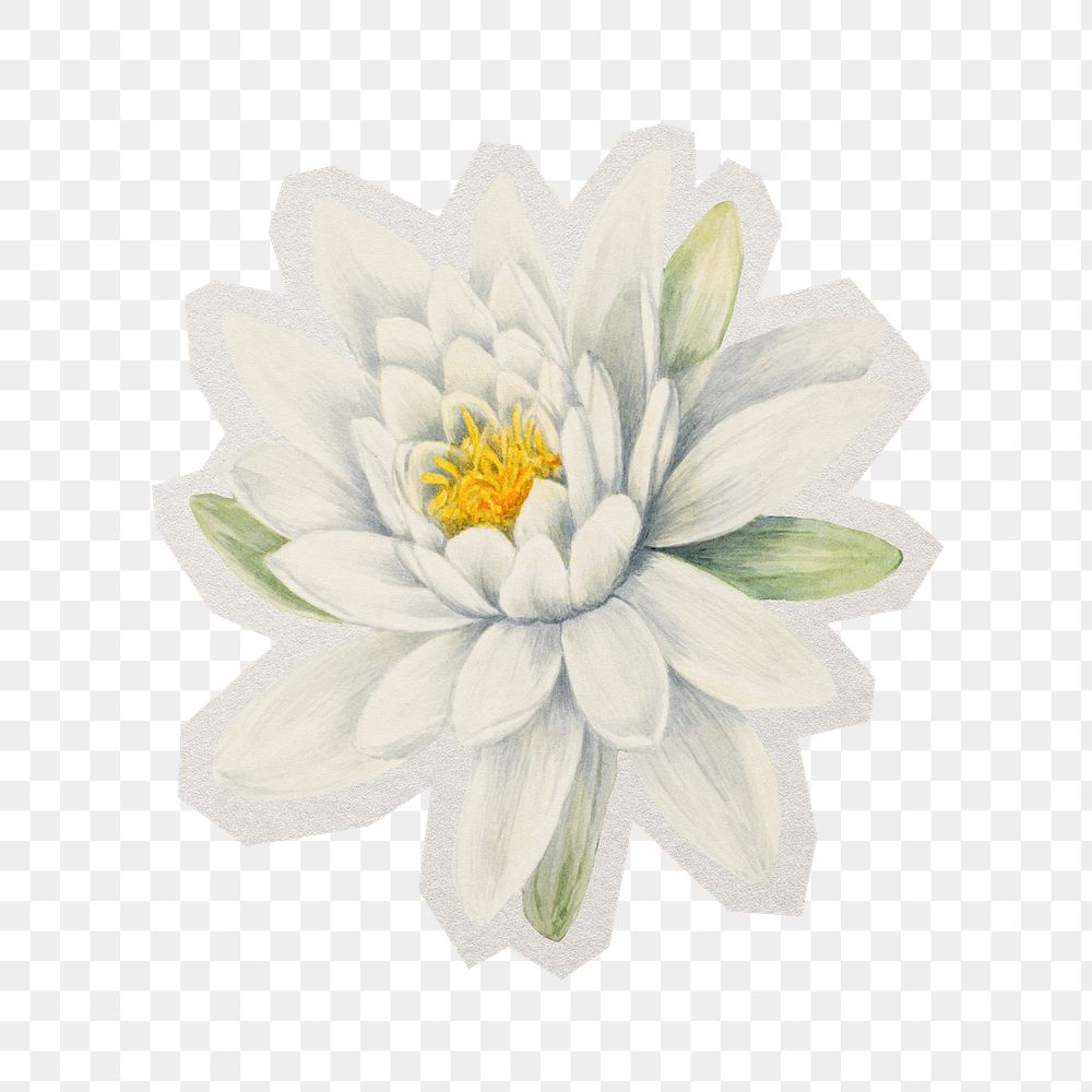 Water lily watercolor png sticker, paper cut on transparent background
