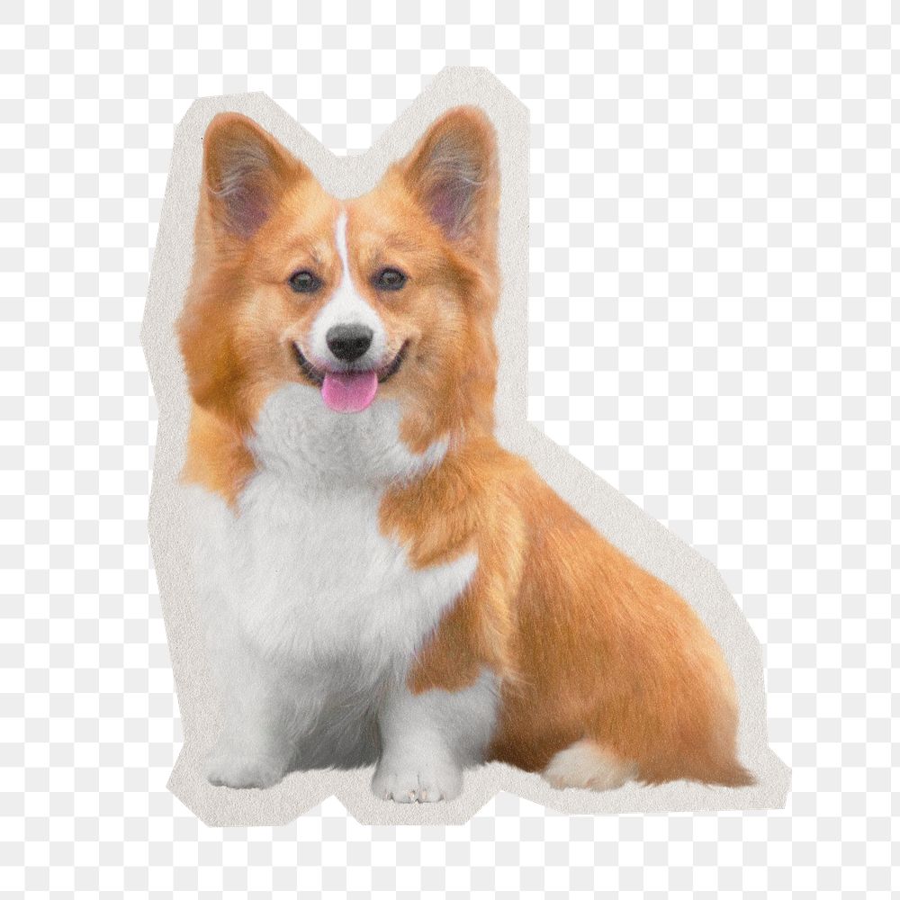 Welsh corgi png dog sticker, paper cut on transparent background