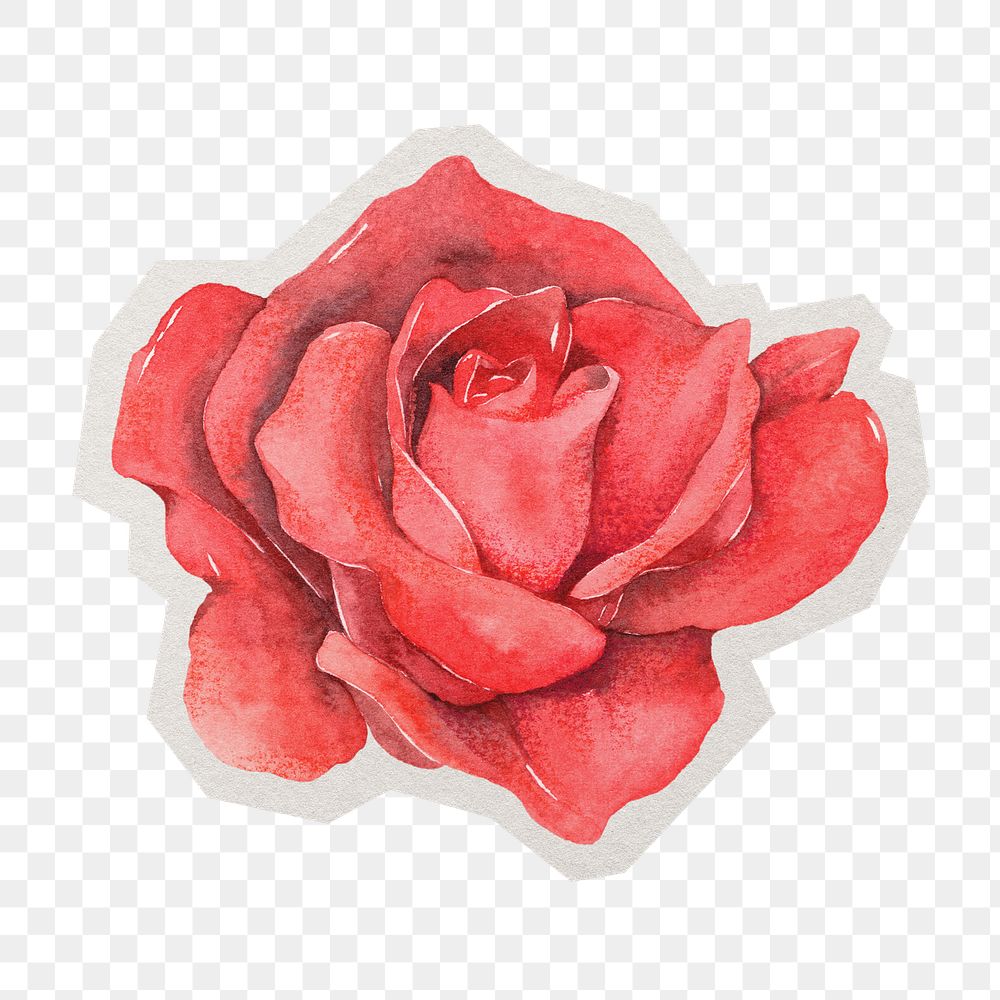 Watercolor rose png sticker, paper cut on transparent background