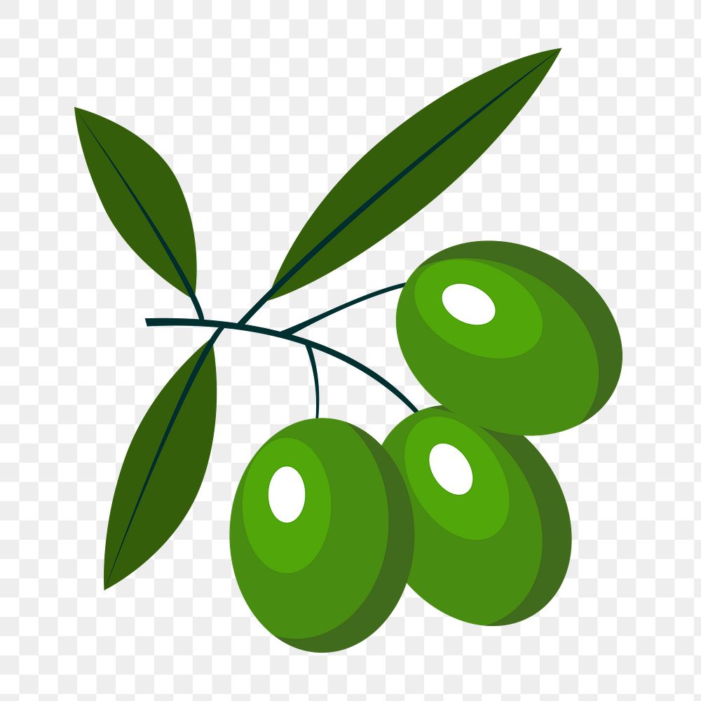 Green olive png sticker, transparent background. Free public domain CC0 image.