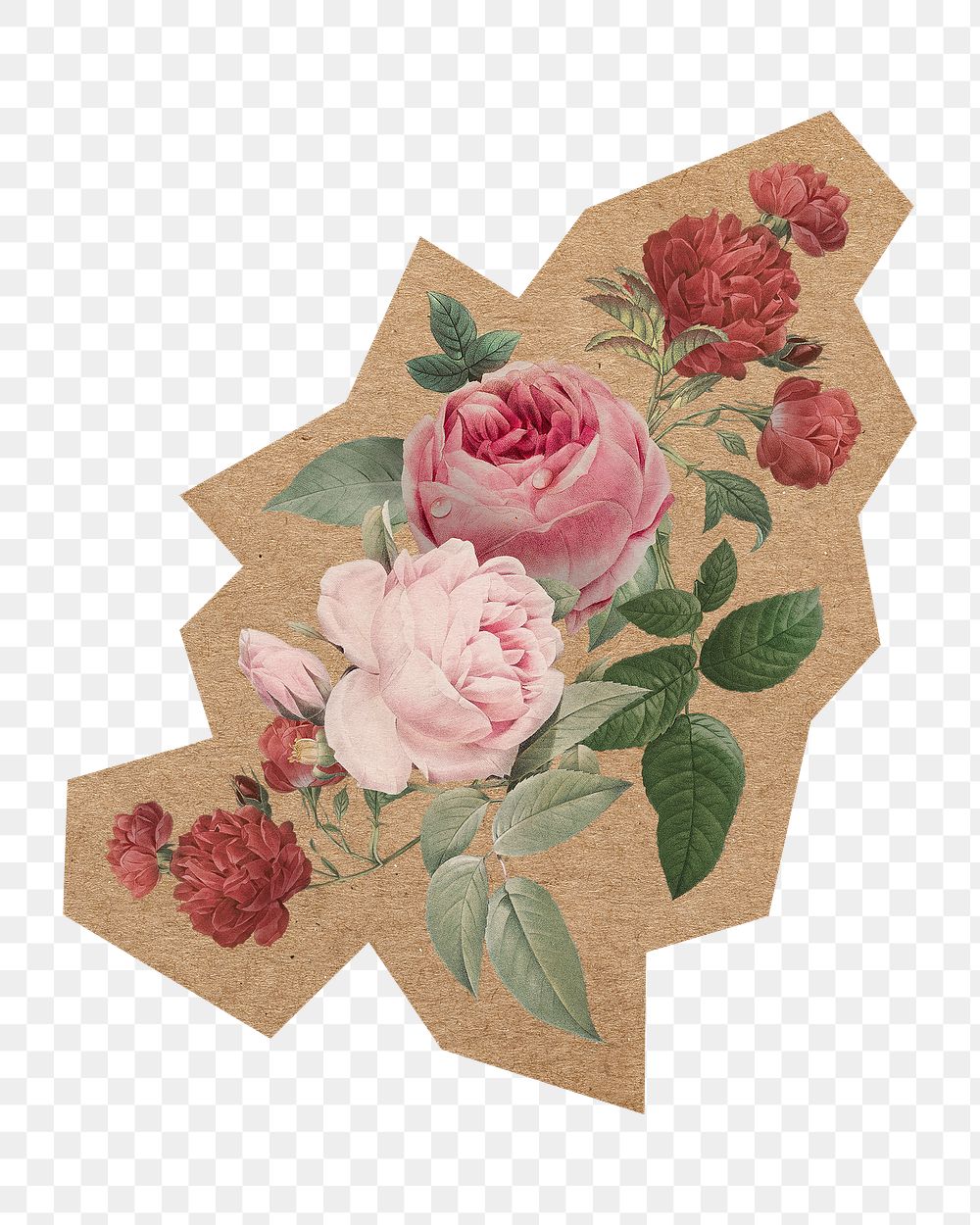 Vintage flower illustration png, cut out paper element, transparent background