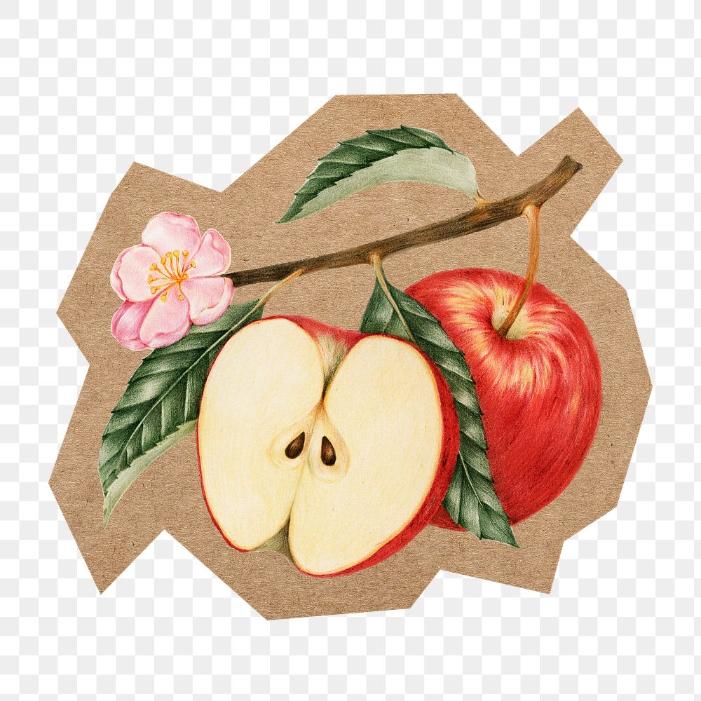 Red apple fruit png, cut out paper element, transparent background