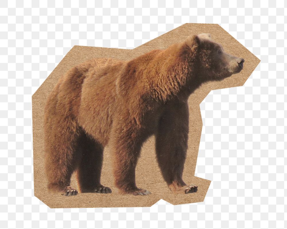 Brown bear png, cut out paper element, transparent background