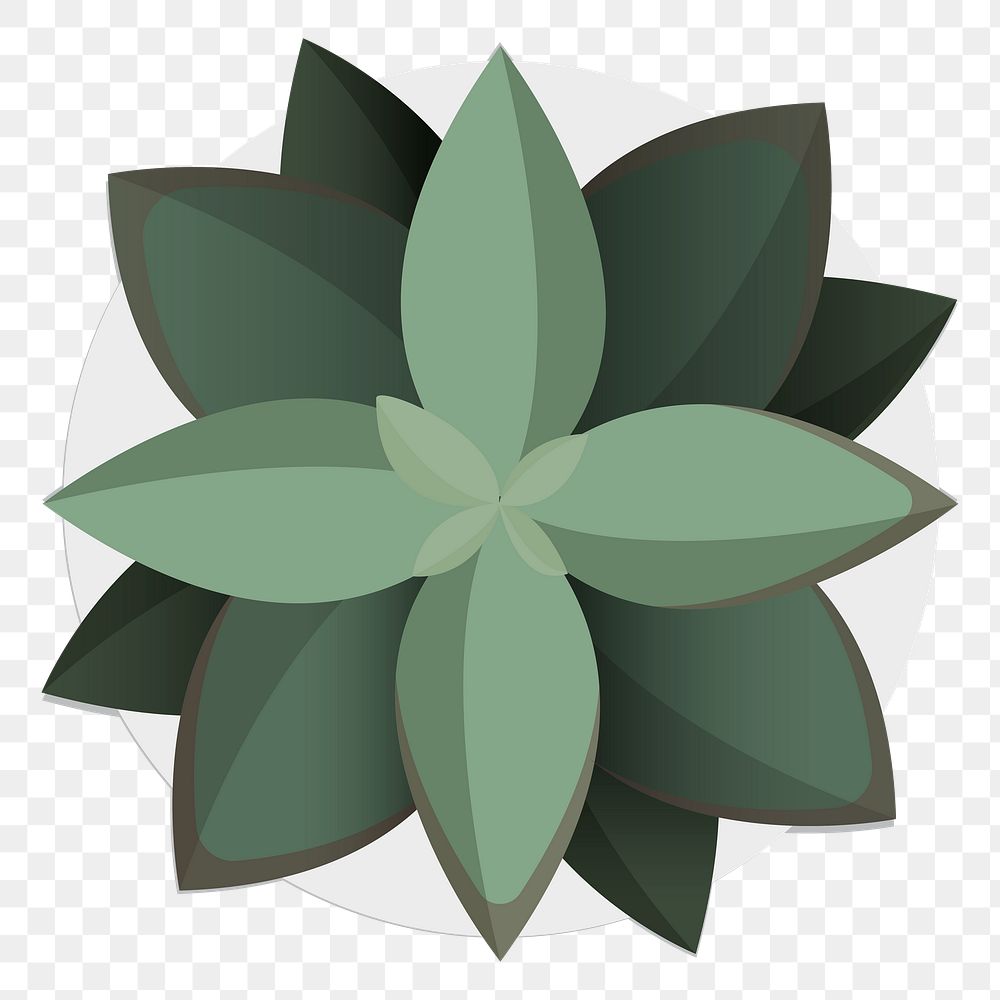 Png houseplant element, transparent background