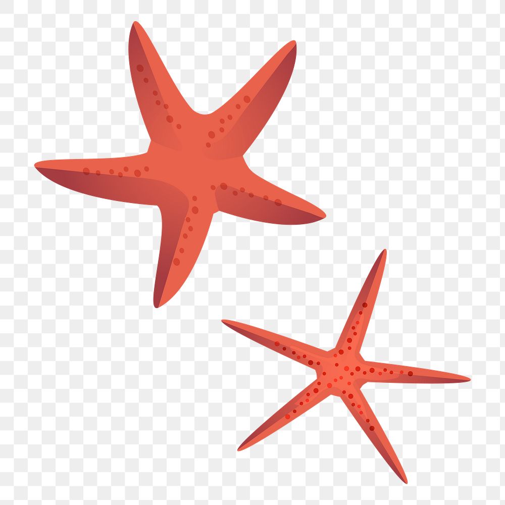 Png Two Red Starfish element, transparent background