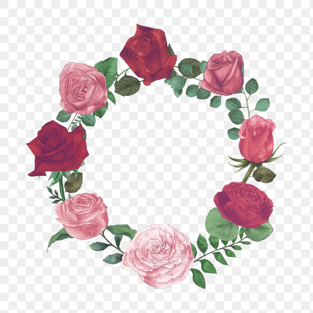 Rose png frame, transparent background