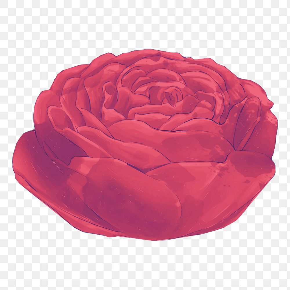 Red rose png illustration, transparent background