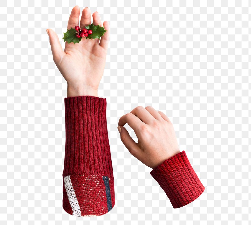 Hand holding png Christmas berry transparent background