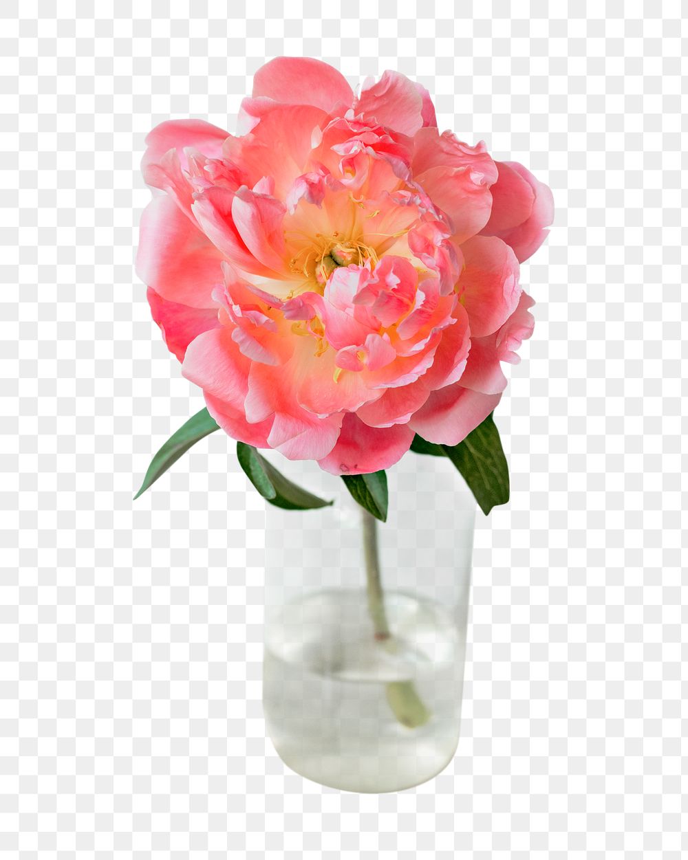 Vase png pink flower, transparent background
