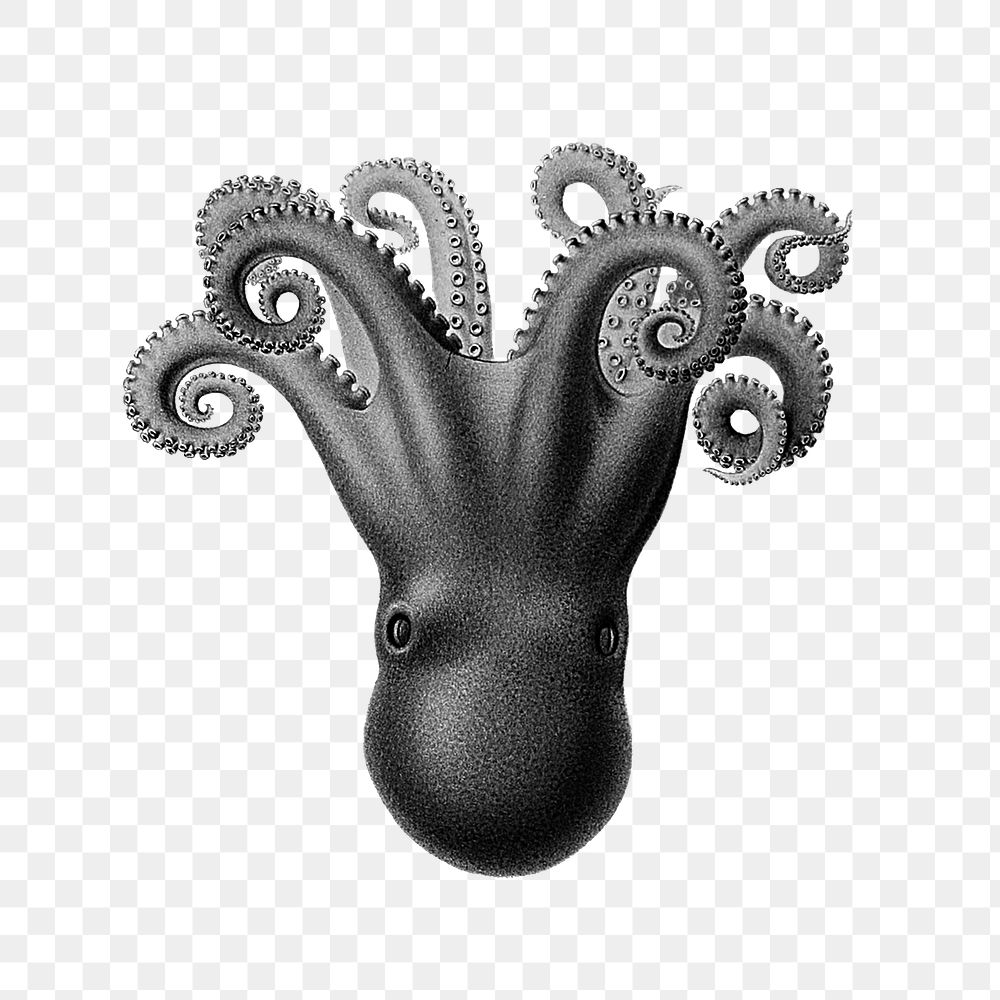 Png vintage small black octopus sticker, transparent background