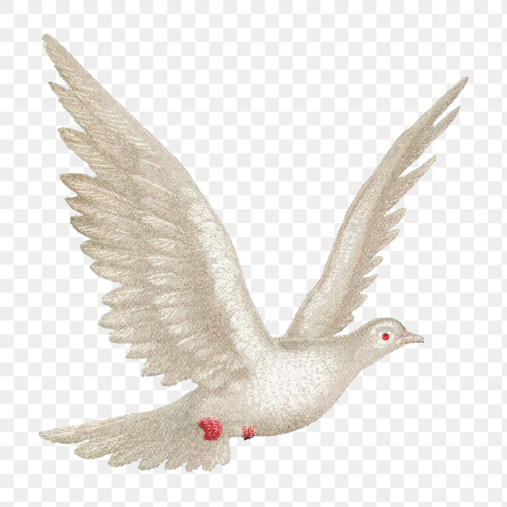 Flying dove png, vintage bird illustration, transparent background. Remixed by rawpixel.