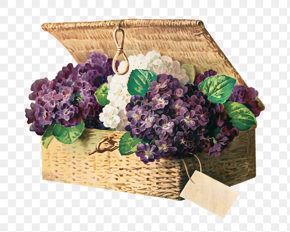 Invoice of violets png, vintage purple flower basket illustration by Paul de Longpr&eacute;, transparent background. Remixed…