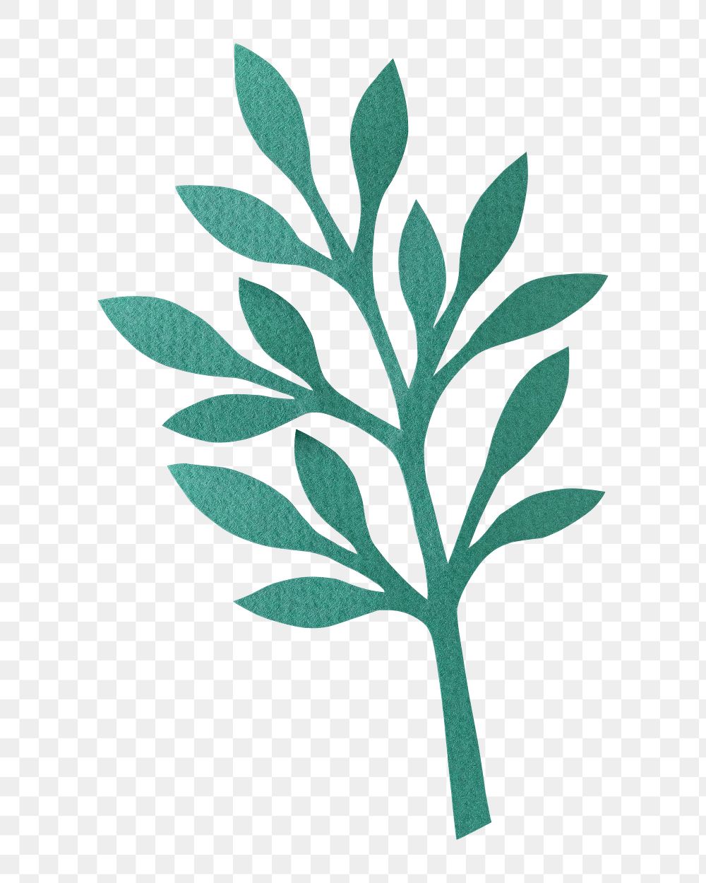 Green leaf png sticker, transparent background