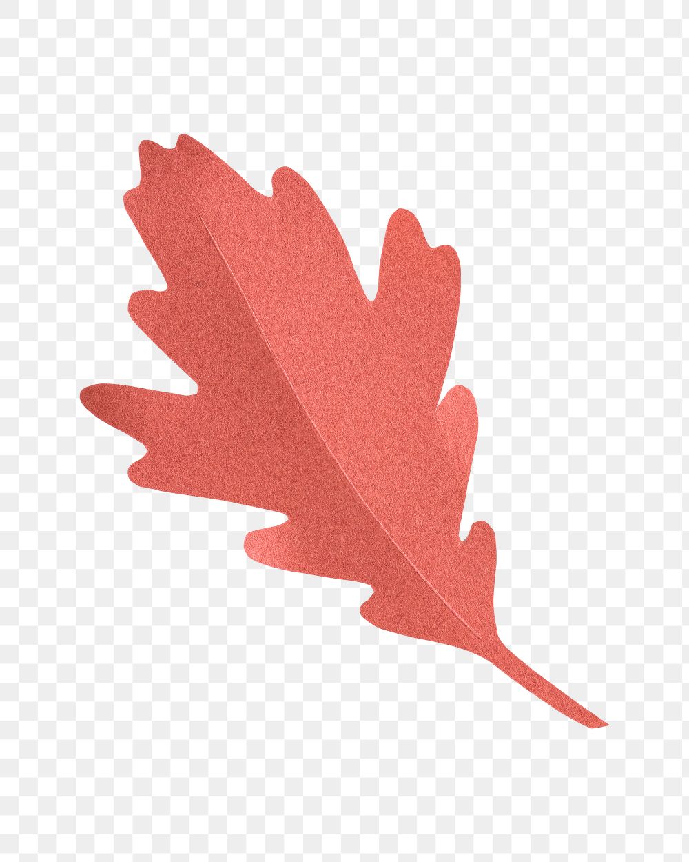 Red leaf png sticker, transparent background