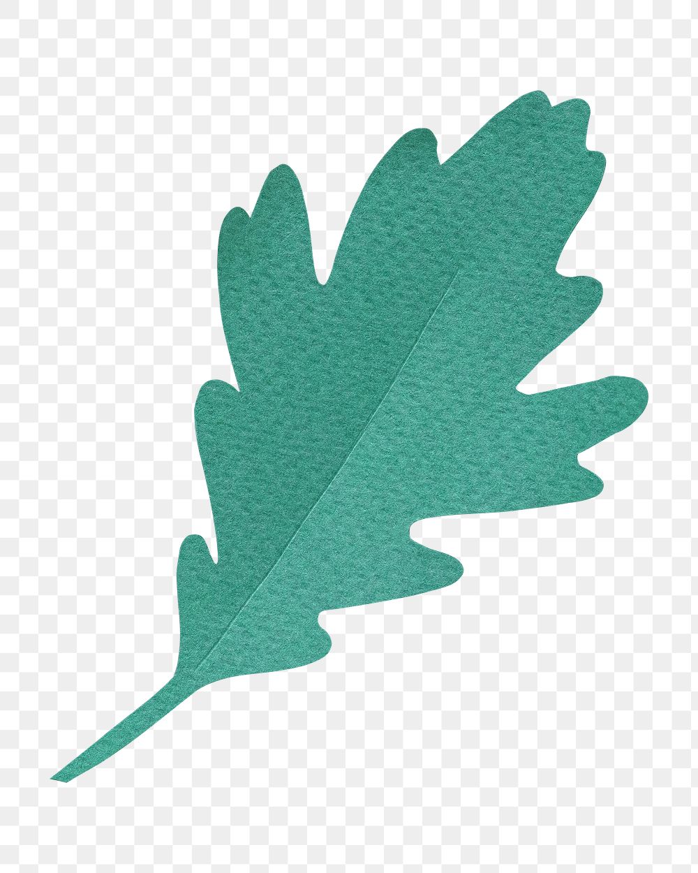Green leaf png sticker, transparent background
