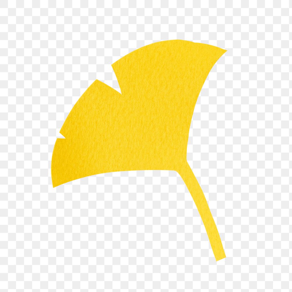 Ginkgo leaf png sticker, transparent background