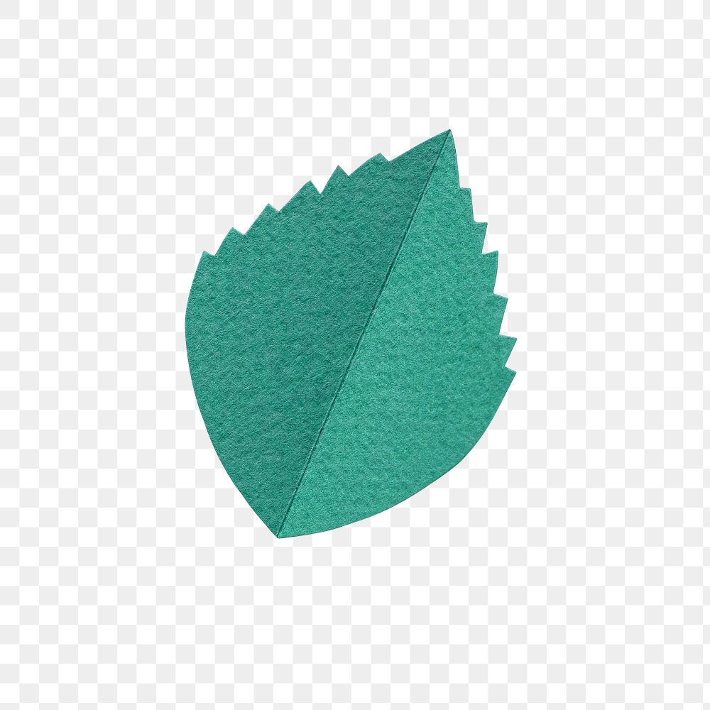 Green leaf png sticker, transparent background