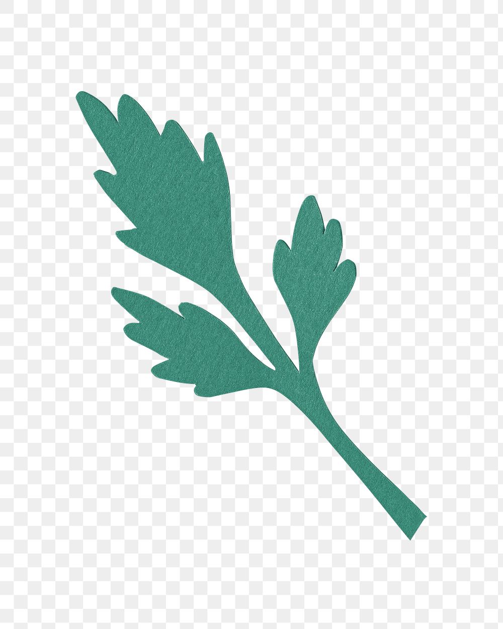 Green leaf png sticker, transparent background