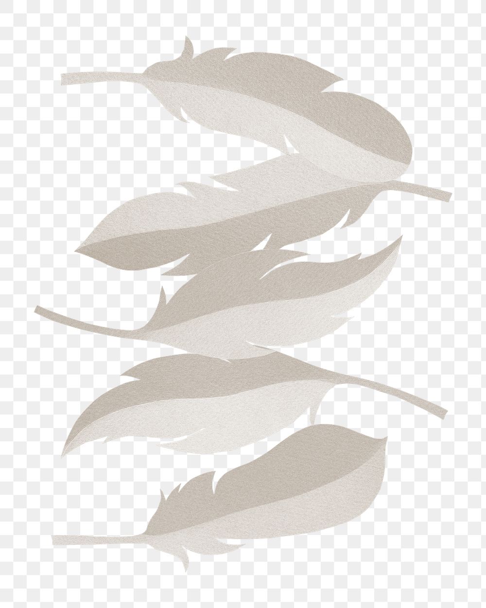 Feather png illustration, transparent background