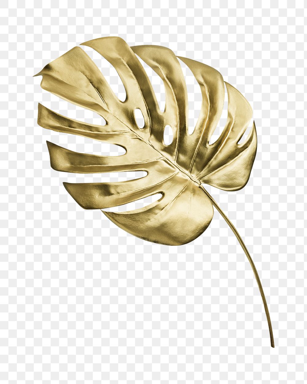 Png golden monstera leaf on transparent background