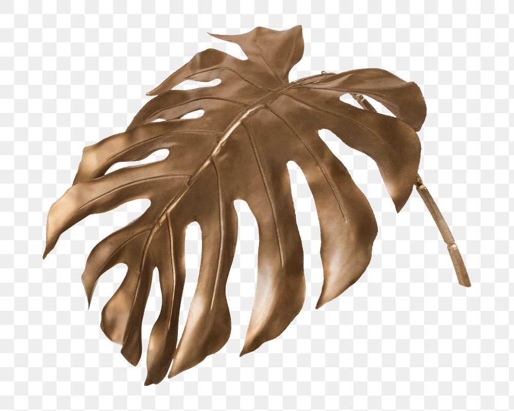 Png golden monstera leaf on transparent background