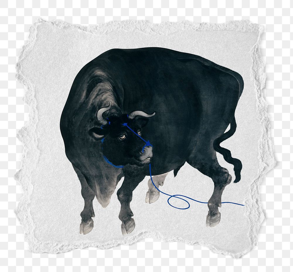 PNG Vintage black bull illustration, ripped paper transparent background. Remixed by rawpixel.