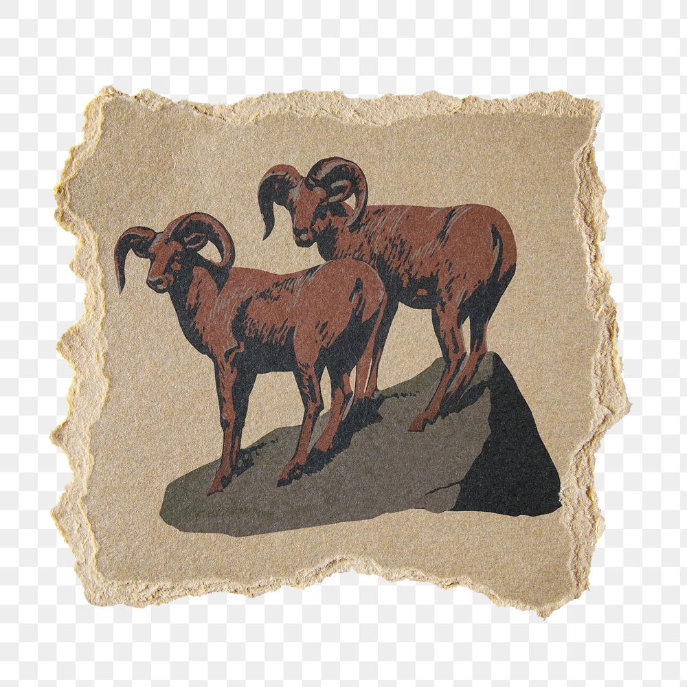 PNG Bighorn sheep illustration, ripped paper transparent background. Remixed by rawpixel.