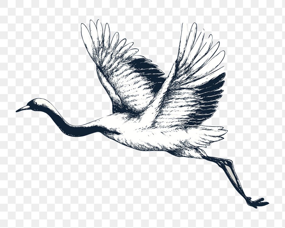 Flying crane png, transparent background