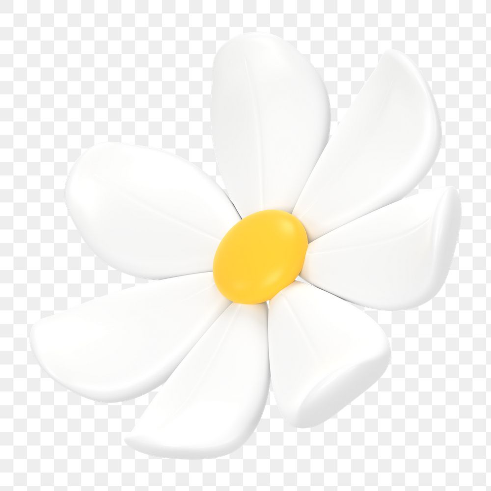 White flower png sticker, cute 3D botanical illustration on transparent background