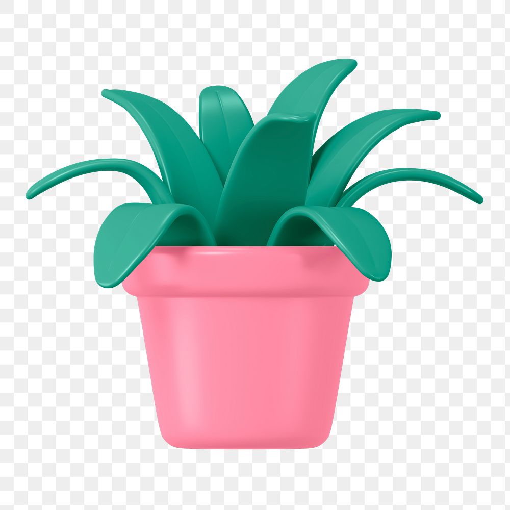 3D pot  png plant, green botanical illustration on transparent background