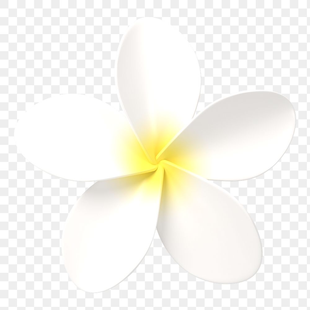 White flower png sticker, botanical 3D cartoon transparent background