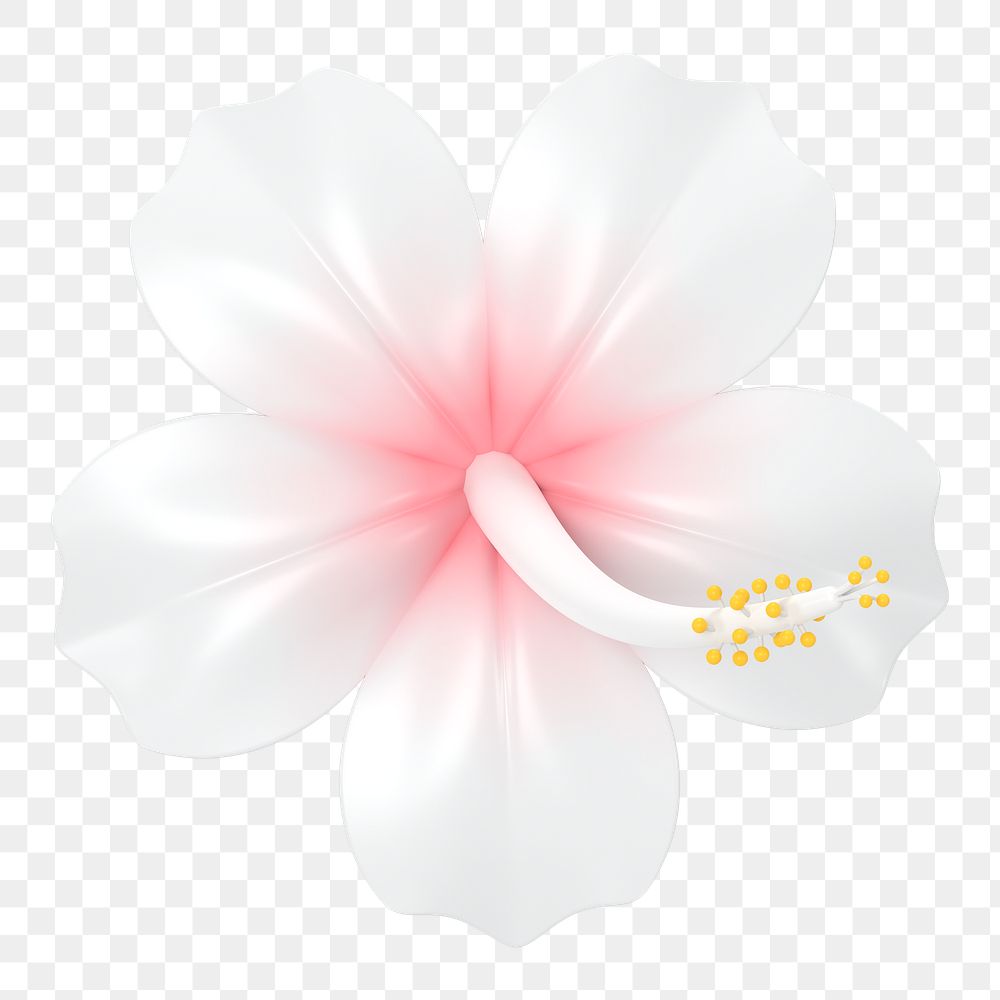 White  Hibiscus png sticker, botanical 3D cartoon transparent background