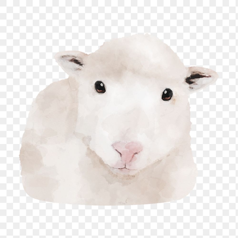 Sheep png watercolor illustration, transparent background