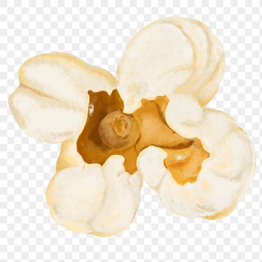 Popcorn snack png, transparent background