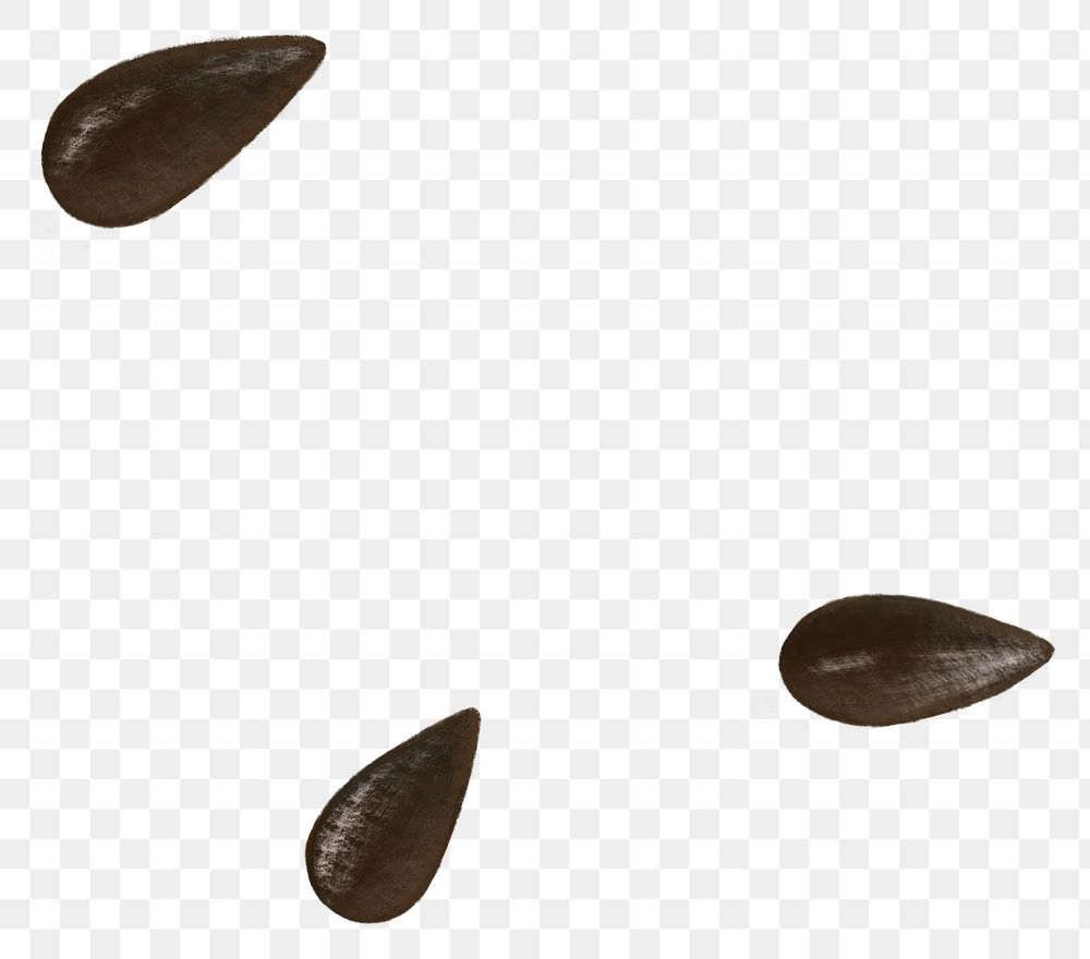 Black sesame seed png food sticker, transparent background