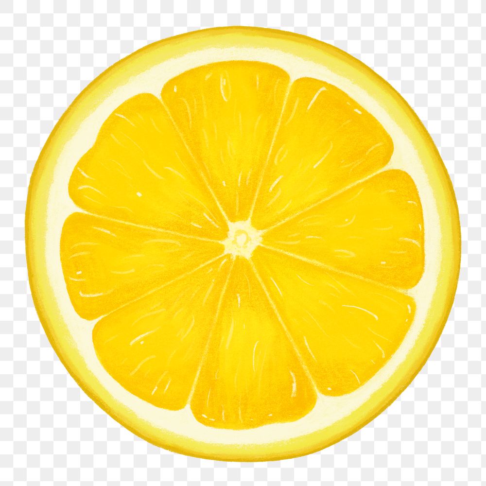 Lemon slice fruit png sticker, healthy food, transparent background