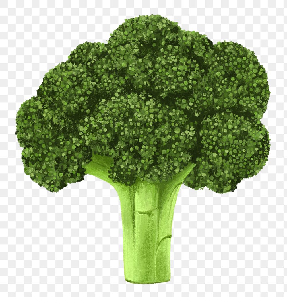 Broccoli vegetable png sticker, healthy food, transparent background