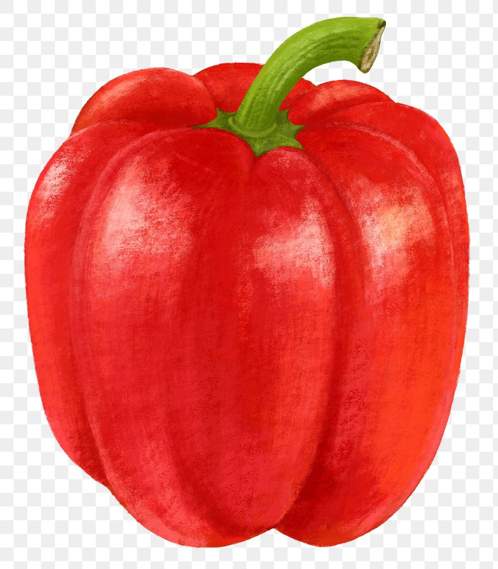 Red bell pepper vegetable png sticker, healthy food, transparent background