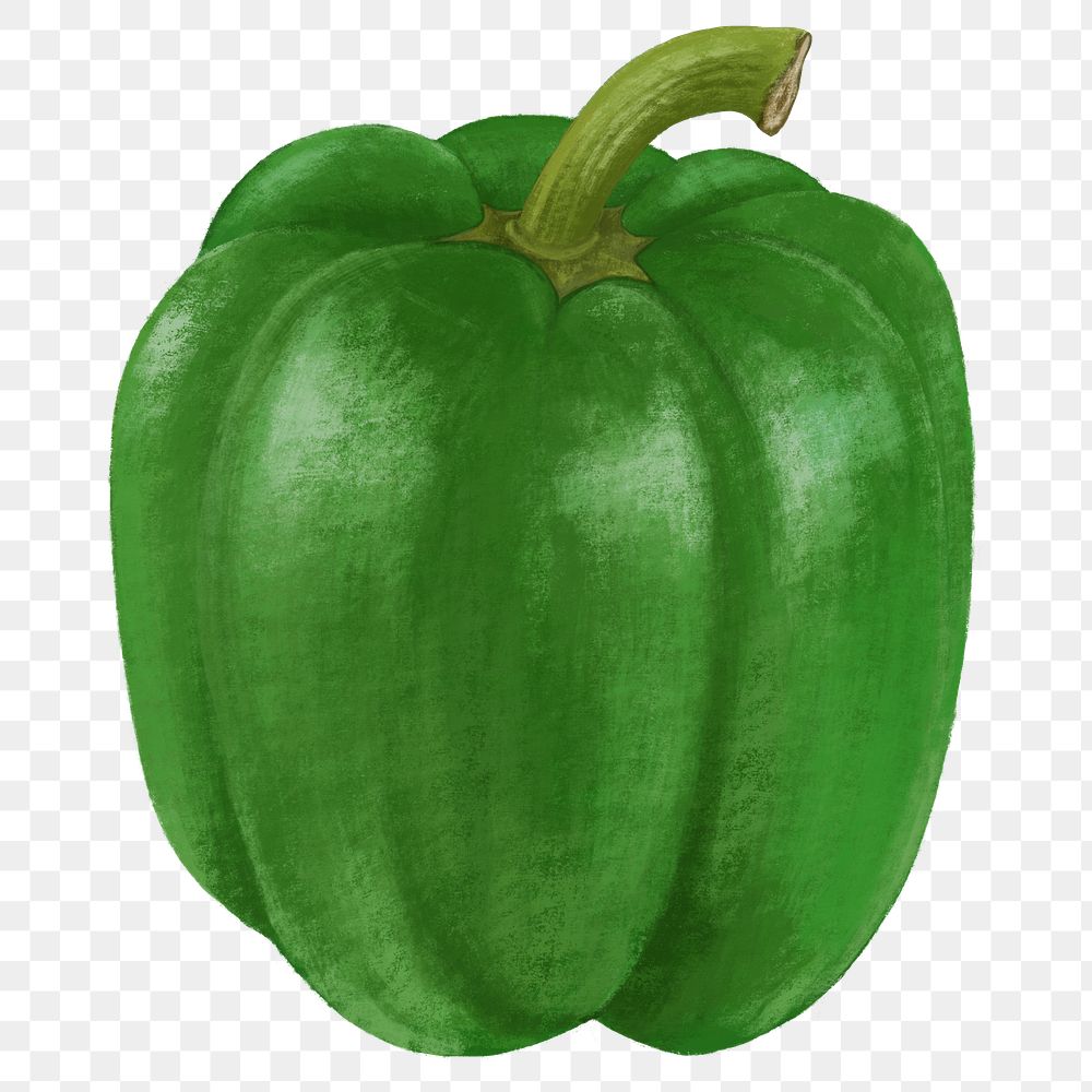Green bell pepper vegetable png sticker, healthy food, transparent background