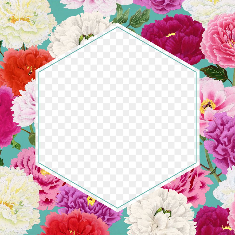 Colorful carnation flower frame, feminine, transparent design