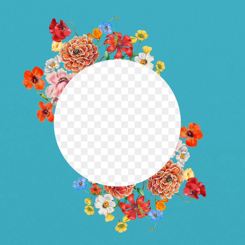 Circle flower png frame, colorful botanical illustration, transparent design