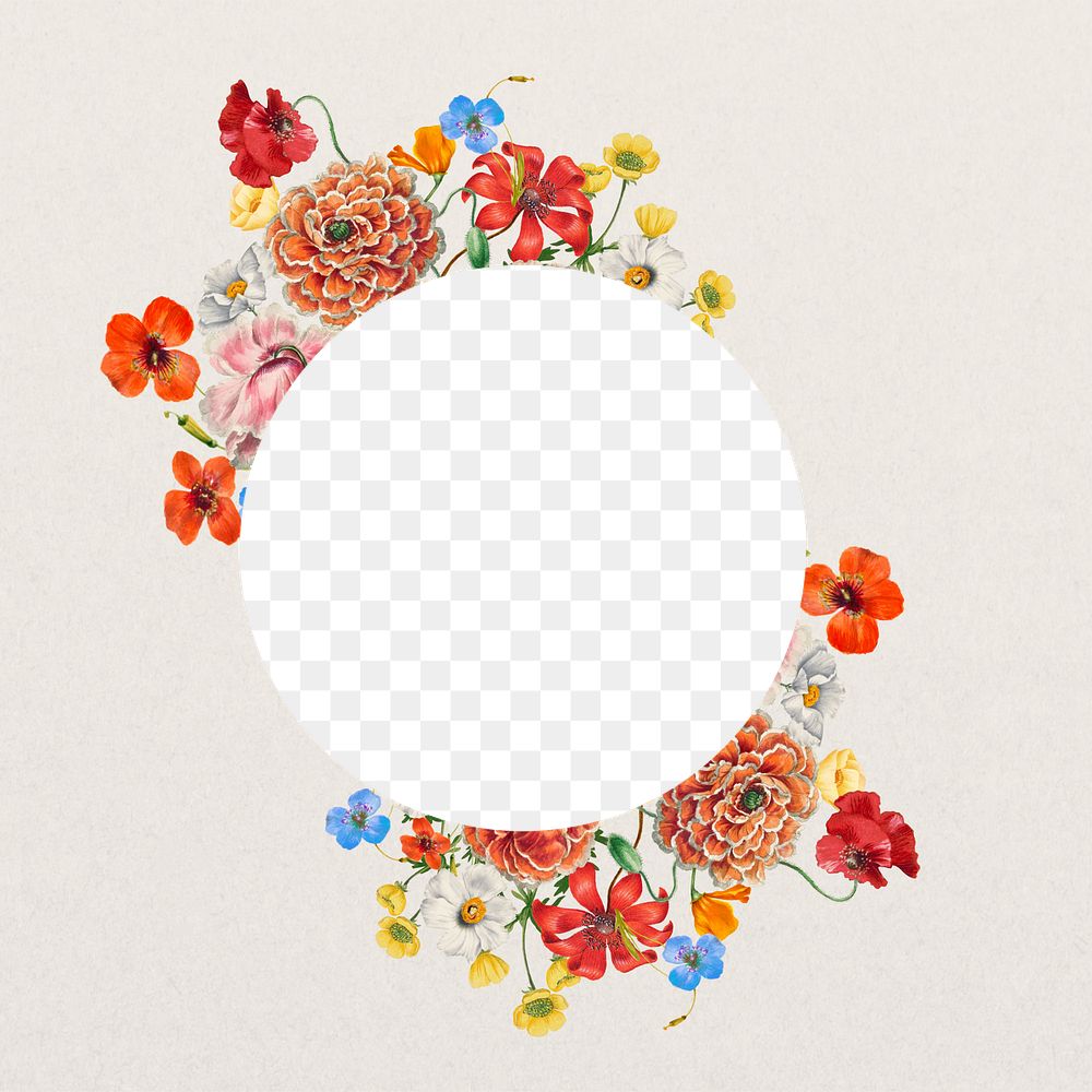 Circle flower png frame, colorful botanical illustration, transparent design