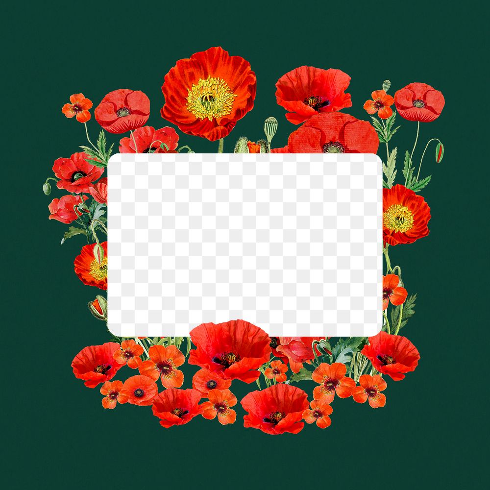 Note paper png frame, poppy flowers collage, transparent design