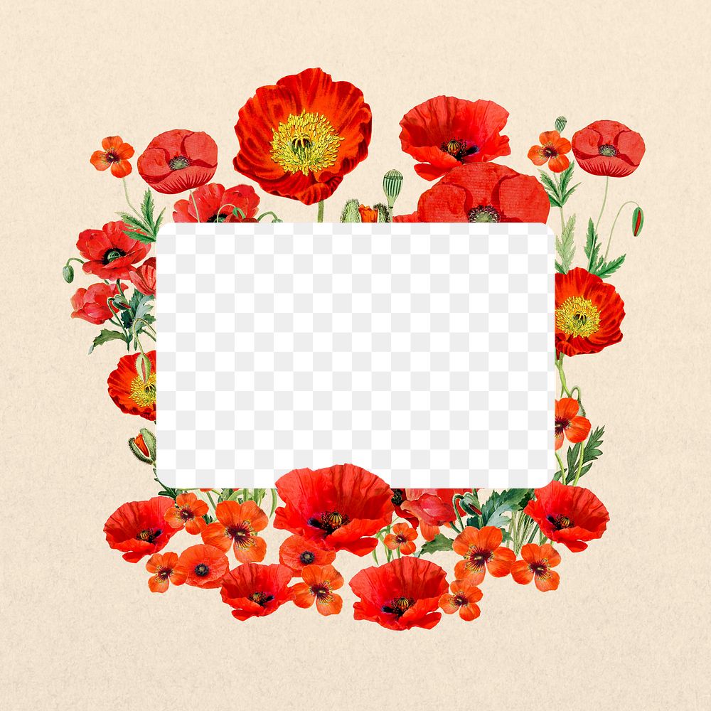 Note paper png frame, poppy flowers collage, transparent design